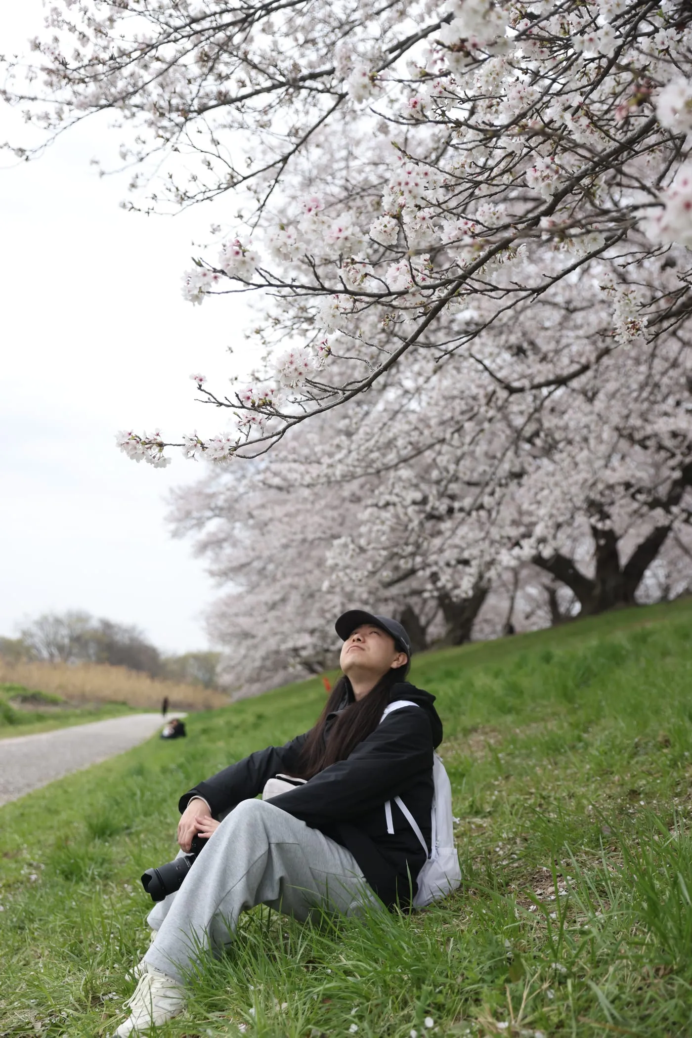 Siqi Yang sitting on a grassy riverbank beneath cherry blossoms, camera in hand, looking up into the branches